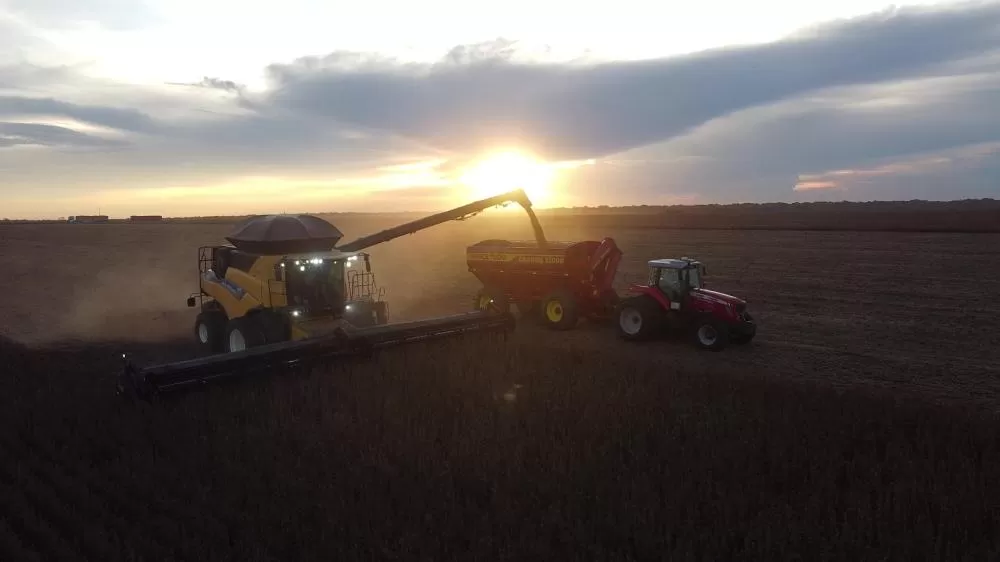 Colheita da soja avança e define estratégias para o plantio de milho e algodão