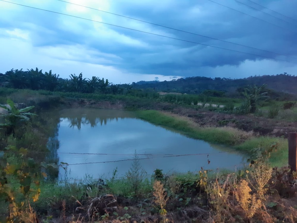 Menina de 9 anos morre afogada após entrar em lago em MT
