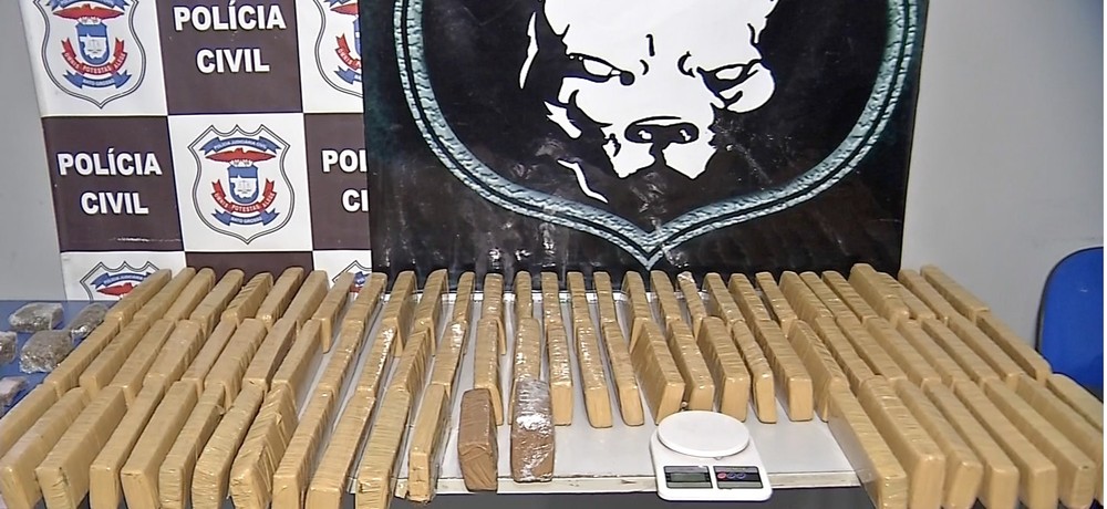 Quase 2 toneladas de drogas são apreendidas no 1º semestre de 2019 em MT
