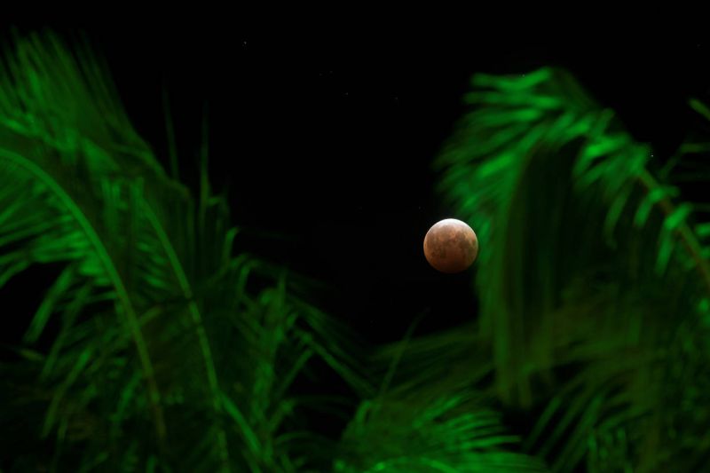 Veja as imagens que são destaques nesta quarta-feira (26)