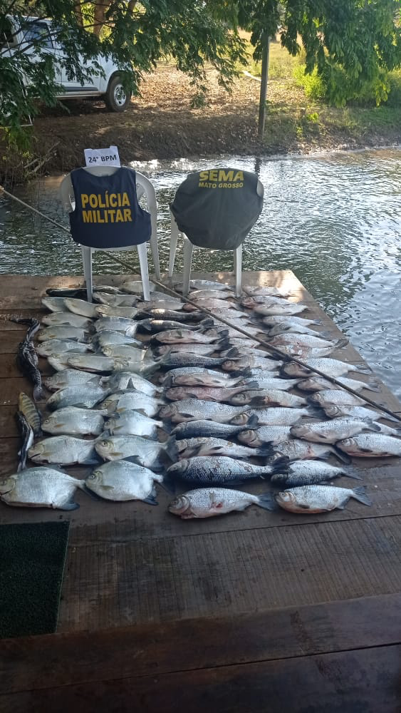 Operação contra pesca predatória apreende 183 quilos de pescado na região de Sinop