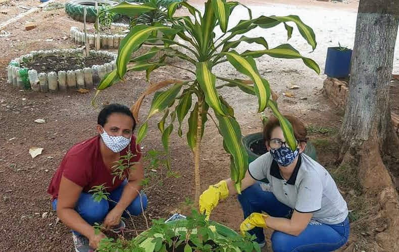 Experiências exitosas em Escola Plena, durante a pandemia, vira livro