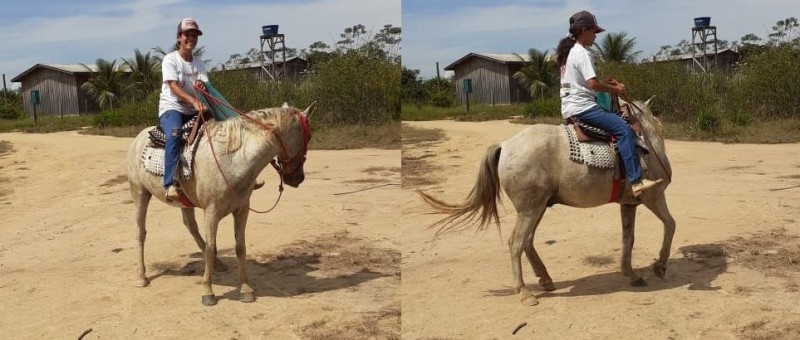 Estudantes vencem dificuldades e buscam apostilas até a cavalo