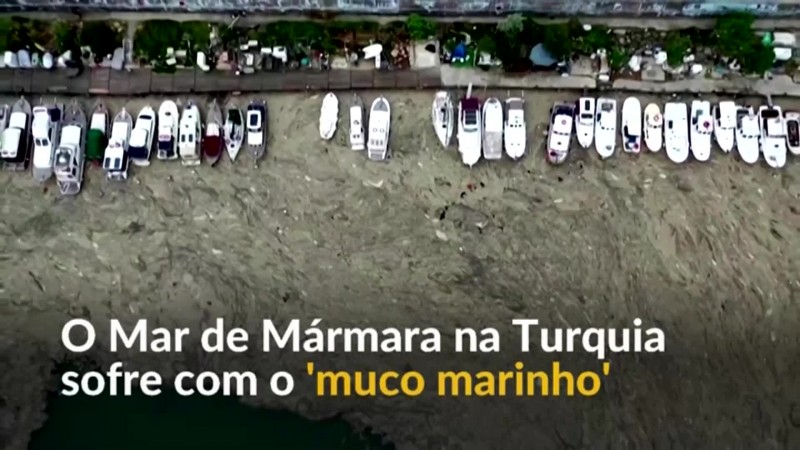 O problema do 'muco marinho' na Turquia