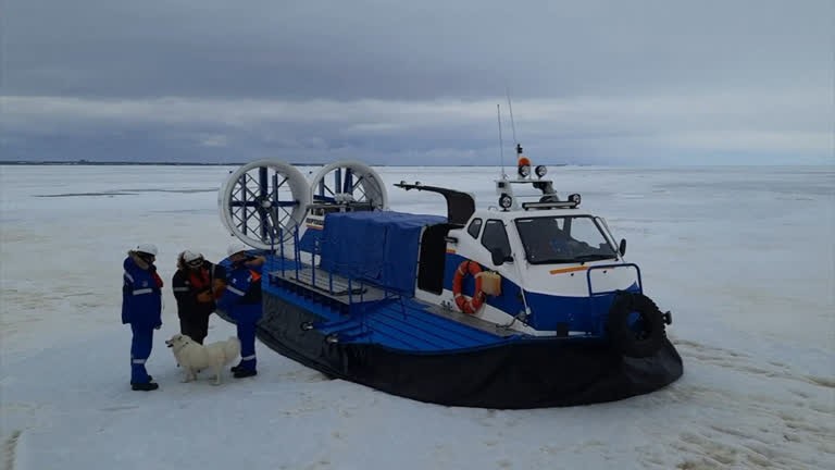 Cachorrinha se perde e vai parar no mar congelado na Rússia