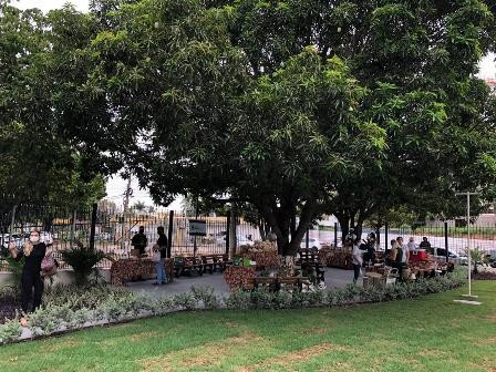 O retorno da Feira celebrará o terceiro aniversário do projeto. - Foto por: Ascom | SES-MT