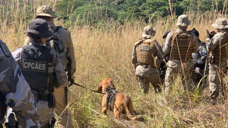 Ajuda da Força Nacional na caçada a 'serial killer do DF' está incerta