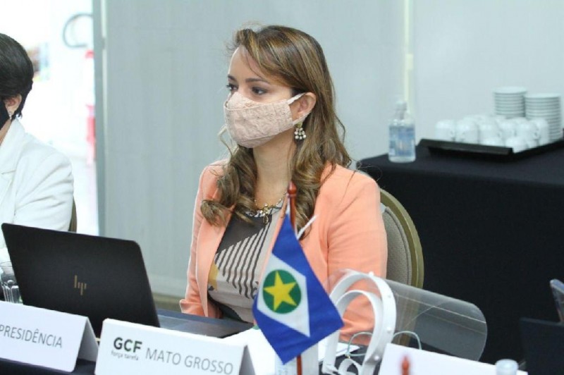 Mato Grosso lidera com nove estados ações contra desmatamento ilegal