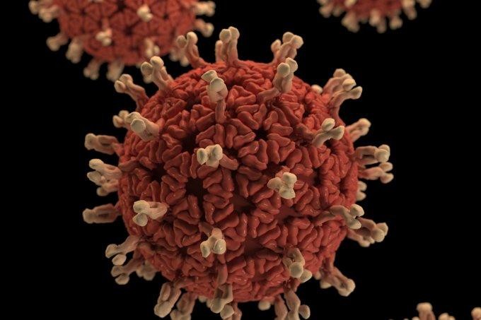 Médica orienta uso de máscaras para evitar mutações do vírus - Foto por: CDC/Divulgação