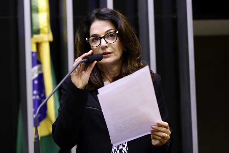 Norma Ayub recomendou aprovação do texto do Senado - (Foto: Michel Jesus/Câmara dos Deputados)