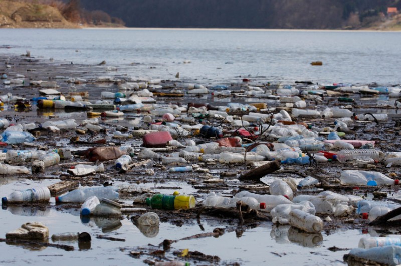 Uso de plástico tem causado, desde a produção até o descarte, danos ambientais graves e de caráter global; países têm banido seu uso e buscado materiais alternativos para substituí-lo - picturesd/Getty Images