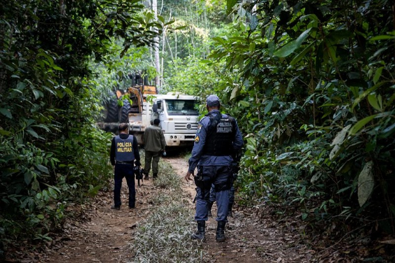 Operação Amazônia fiscaliza municípios que mais desmatam em Mato Grosso - Foto por: Christiano Antonucci