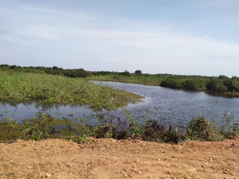 Relatório aponta que 65% dos pontos monitorados da Transpantaneira estão com água