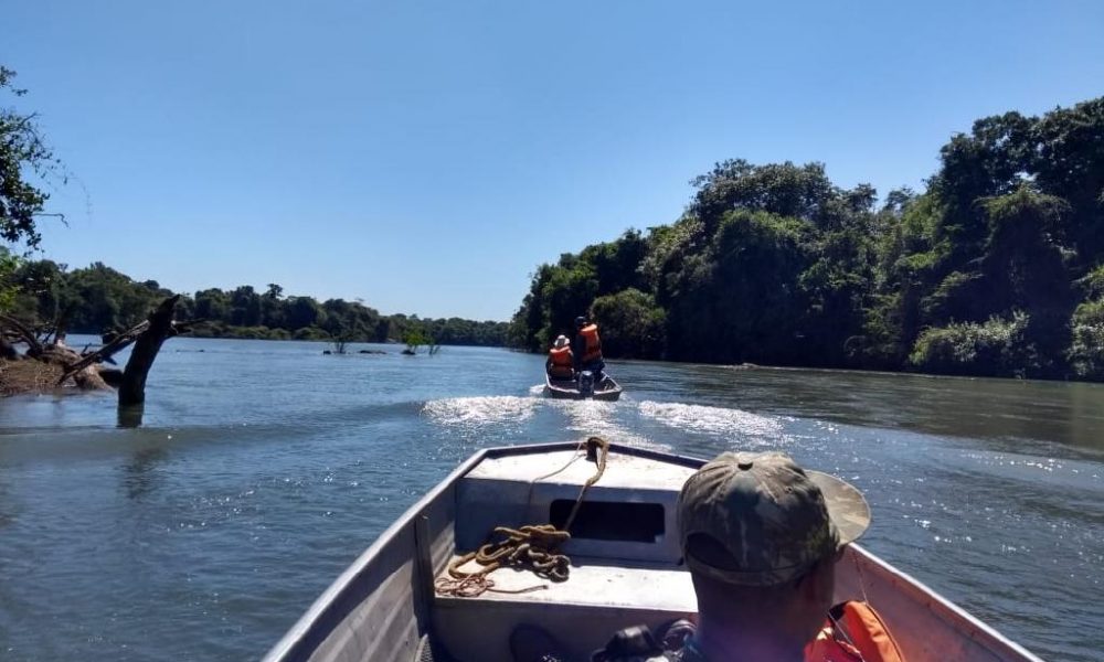 Fiscais resgatam 12 tartarugas e prende oito pessoas em Mato Grosso