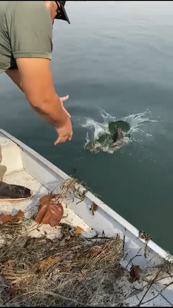 Fiscais da Sema apreendem equipamentos utilizados em pesca predatória nos rios Cuiabazinho e Manso