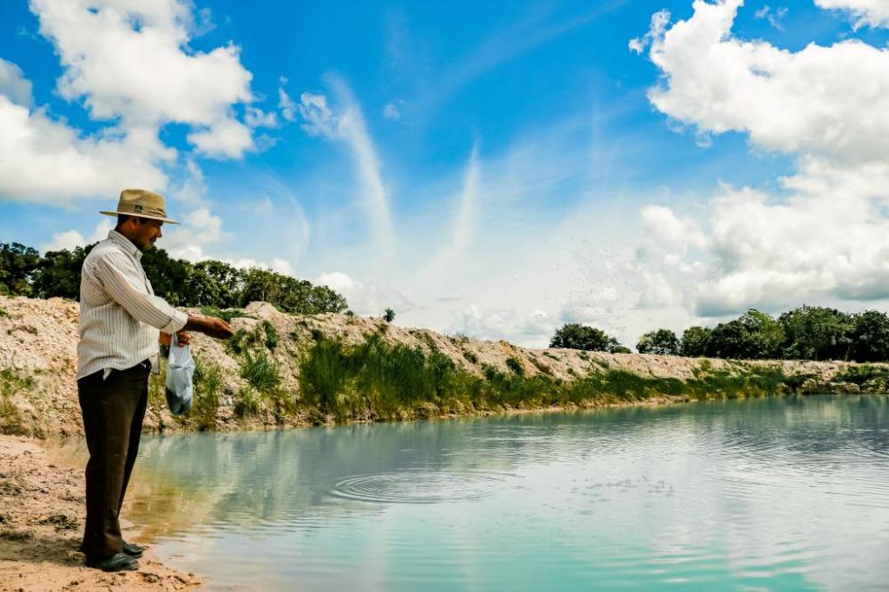 Governo apresenta proposta para dar segurança jurídica a piscicultores