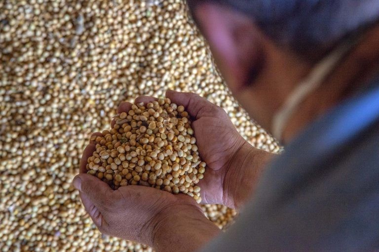 Atuação da Embrapa aumentou a produção de grãos nas últimas décadas - (Foto: Cláudio Neves/Portos do Paraná)