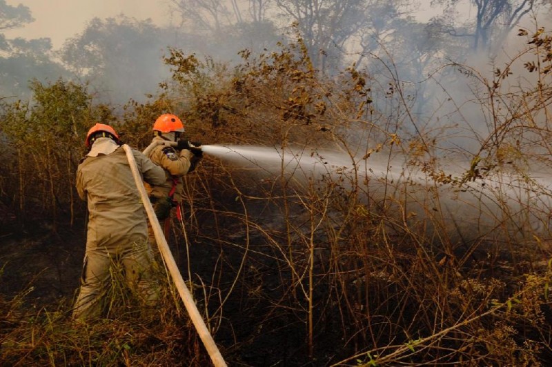 Combate aos incêndios no Pantanal, em Poconé - Foto por: Mayke Toscano