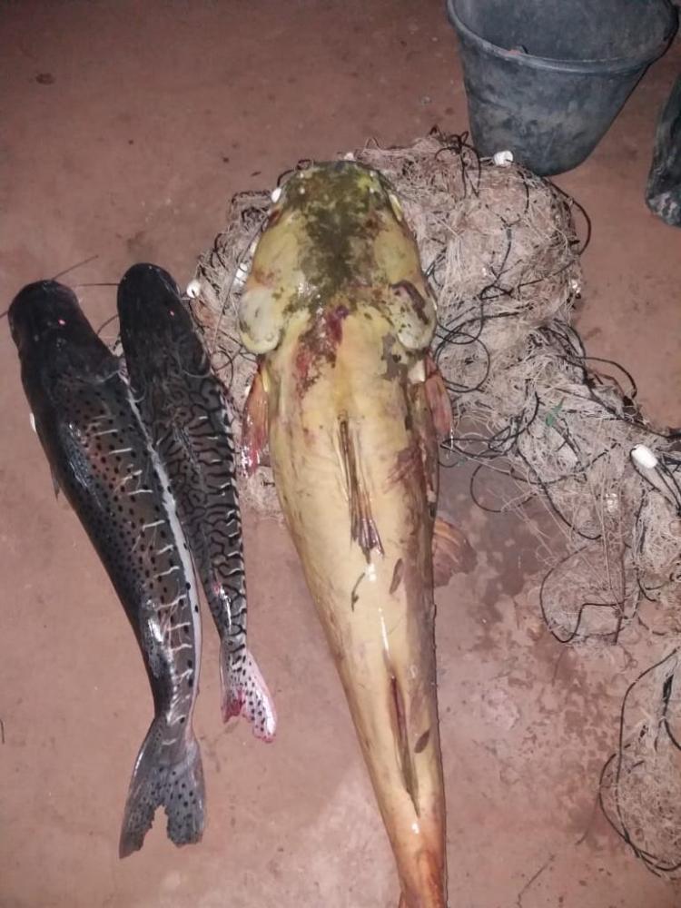 Equipe da Sema realiza operação de fiscalização no Pantanal