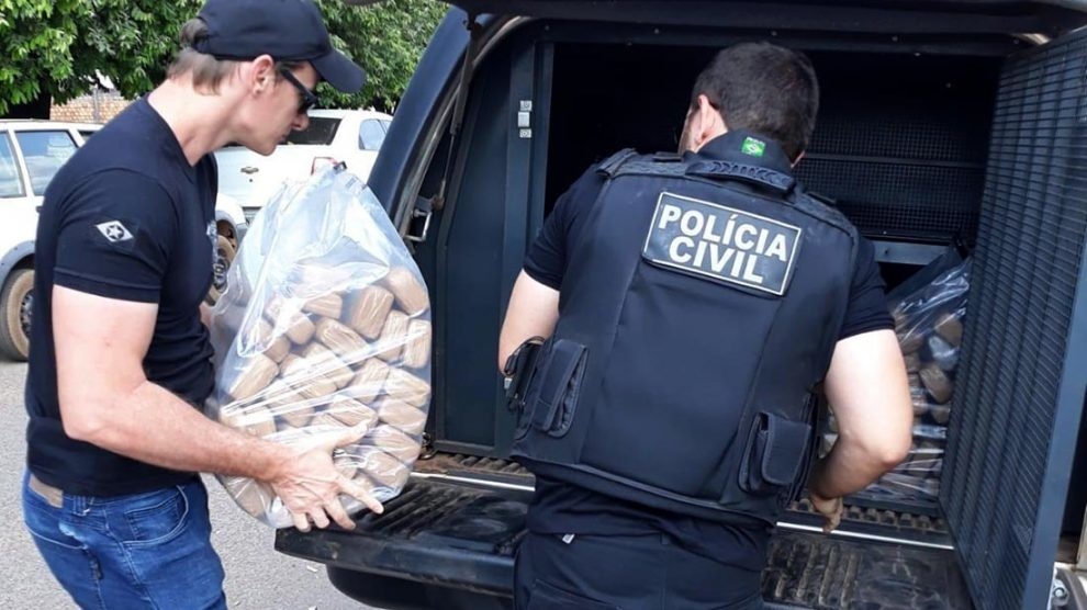 Polícia incinera droga apreendida e avaliada em R$ 80 mil no Nortão