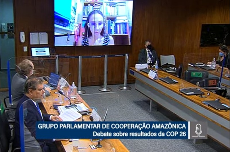 O presidente do grupo, senador Nelsinho Trad (PSD-MS), disse que a COP 26 permitiu a busca de uma agenda de consenso para a administração das mudanças climáticas - Reprodução TV Senado