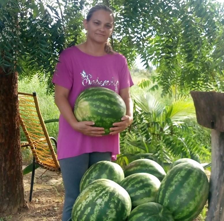 A produtora Daniela com as melancias que serão entregues nas unidades escolares - Foto por: Empaer