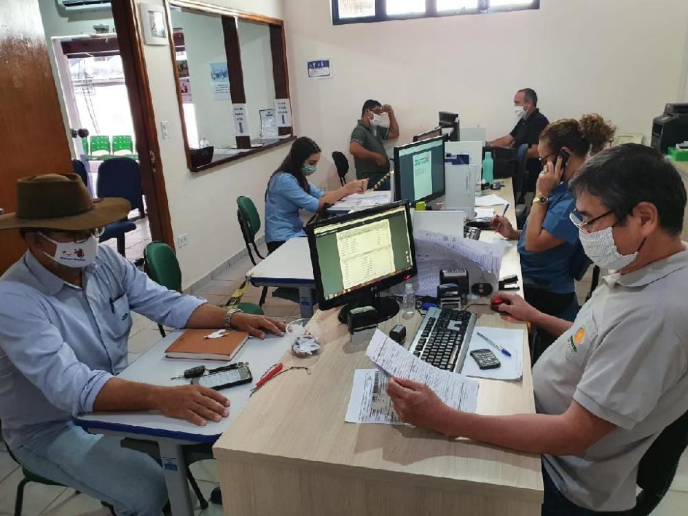 Vacinação contra a febre aftosa segue até quarta-feira (10) em Mato Grosso