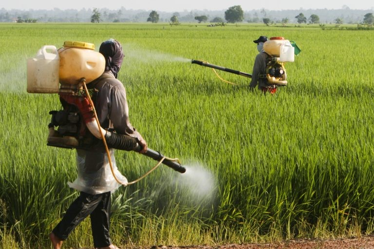 Uso de agrotóxico em plantação - (Foto: kiankhoon/DepositPhotos)