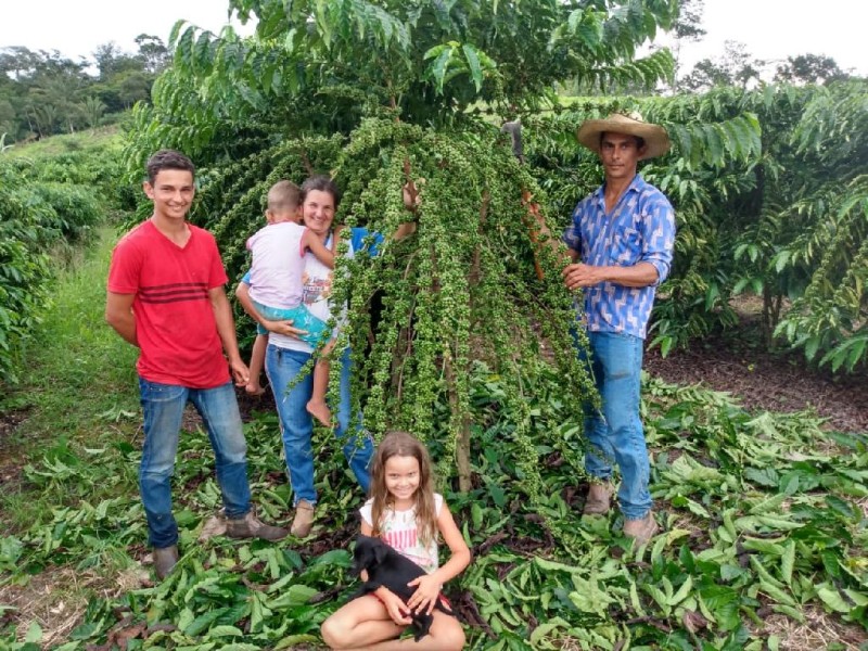 Família da produtora Daiane feliz com a produção de café que será colhida em abril - Foto por: Empaer