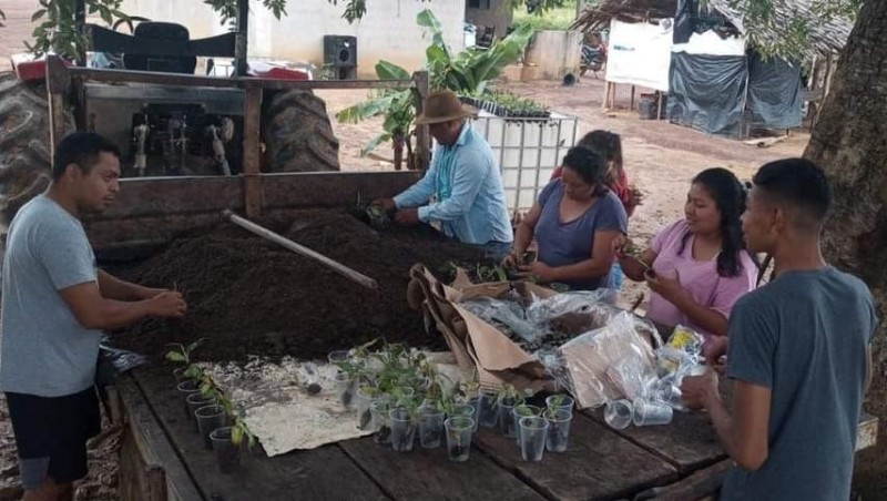 Os Bakairi organizaram uma força tarefa para montar as mudas e, em 30 dias serão plantadas - Foto por: Empaer