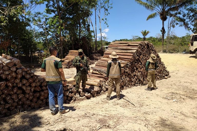 A indústria da madeira é uma das que são obrigadas a recolher a taxa - (Foto: Marco Nascimento/Agência Pará)