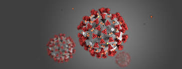 Cuiabá chega a um total de 452 óbitos por COVID-19