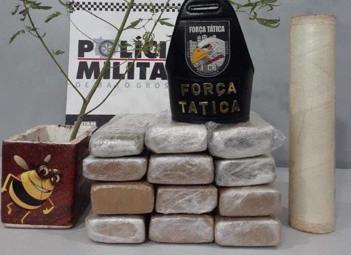 Força Tática tira de circulação 12 tabletes de maconha no bairro Cristo Rei