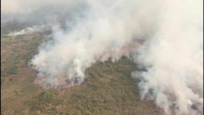 Dois incêndios já atingiram 35 mil hectares do Pantanal em Mato Grosso