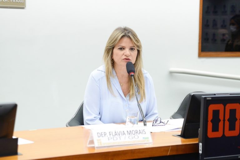 Deputada Flávia Morais recomendou a aprovação da proposta - (Foto: Wesley Amaral/Câmara dos Deputados)
