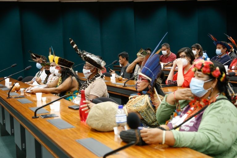 Lideranças indígenas participaram da audiência sobre marco temporal - (Foto: Elaine Menke/Câmara do Deputados)