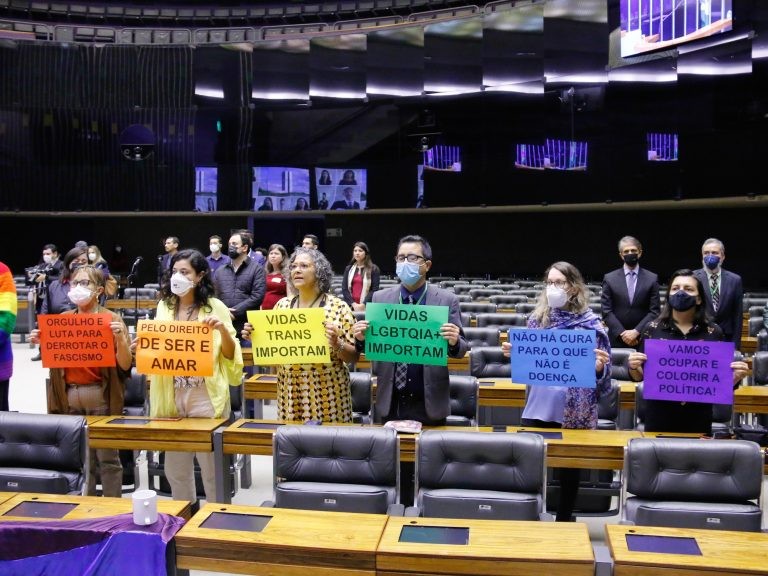 Participantes da sessão afirmaram que desde a Constituição de 88 não se aprovam propostas para os LGBTQIA+ - (Foto: Marina Ramos/Câmara dos Deputados)