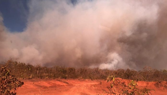 Vegetação de aldeia é destruída pelo fogo e fumaça atinge cidade em Mato Grosso