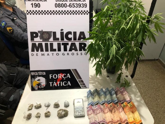 Policiais Militares abordam mulher e apreendem pés de maconha
