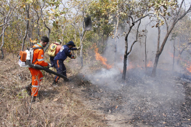 Defesa Civil de Cuiabá garante que fogo na Estrada da Guia não volte a se alastrar