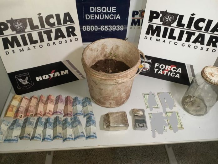 Rotam flagra suspeitos com droga e mudas de maconha na capital