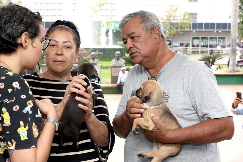 Sugestão de pauta: Diretoria de Bem-Estar Animal promove mais uma edição de feira de adoção de cães e gatos
