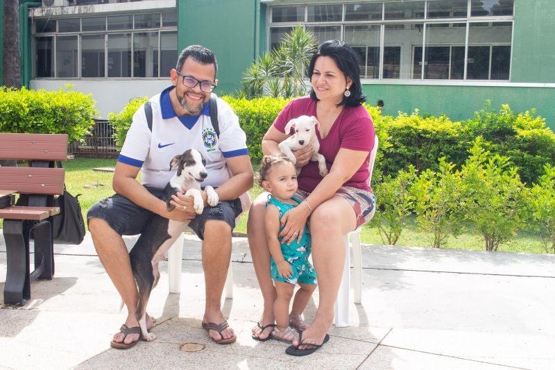 Mais de 30 cães e gatos resgatados pela Prefeitura de Cuiabá 'ganham' lares após feira de adoção