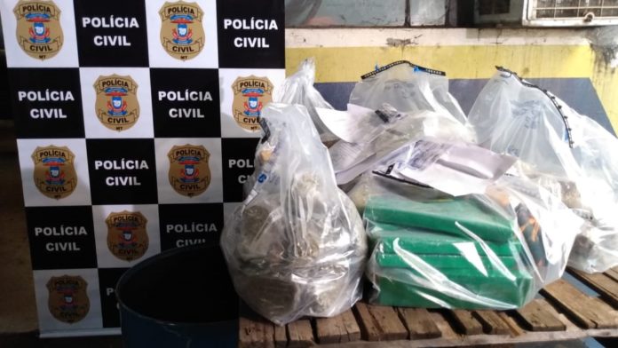 Polícia Civil incinera 50 quilos de drogas em Rondonópolis