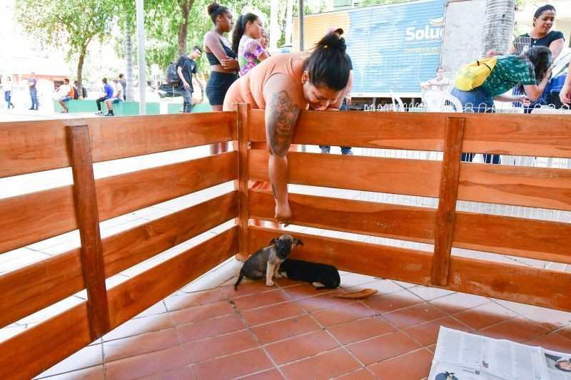 Feira de Adoção Voluntária de Pets que ocorreria nesta terça-feira (06), na Praça Alencastro, é cancelada