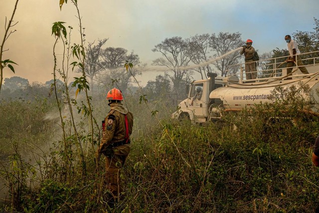 Cinco equipes combatem incêndios no Pantanal de MT com apoio de seis aeronaves