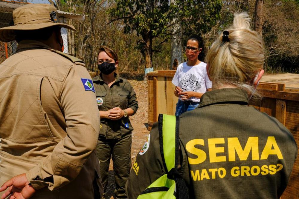 Secretária conhece estrutura montada para atender animais silvestres no Pantanal