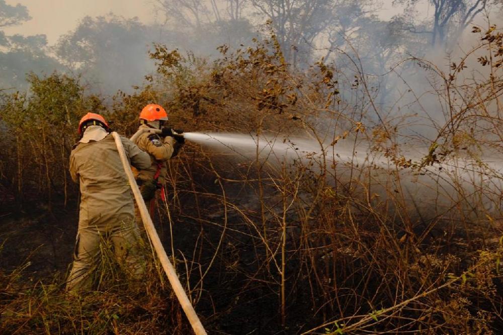 Governo de Mato Grosso dobra estrutura para combater incêndios florestais