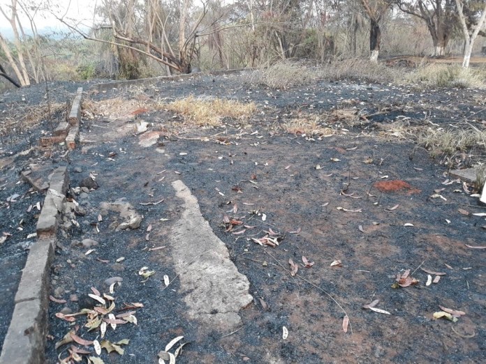 Incêndio em terreno atinge escola e fogo é controlado por alunos e funcionários em MT