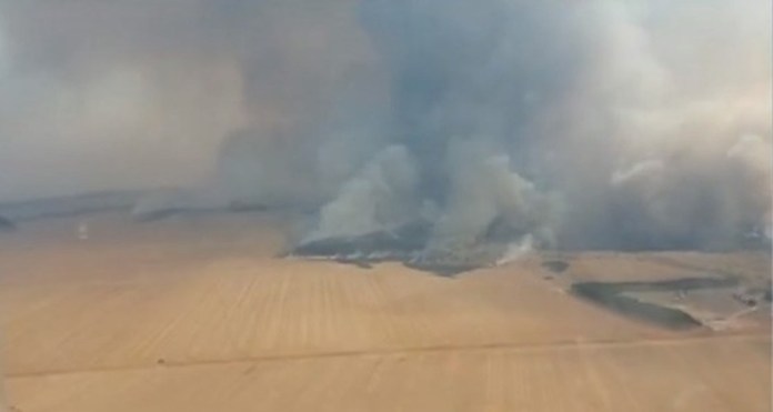 Fogo destrói área de palhada, pasto e reserva há quase uma semana em MT